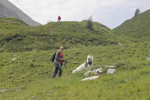 Destino - Jack & Kati